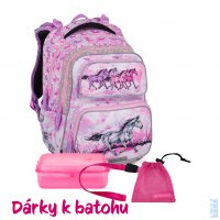 �koln� lehk� batoh DOPI 24 A kon� (batoh + box + mal� s��ek), Bagmaster